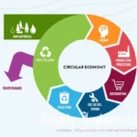 Inovasi Sirkular: Dari Sampah Plastik hingga Elektronik Menjadi Furnitur Premium dengan Nilai Tinggi