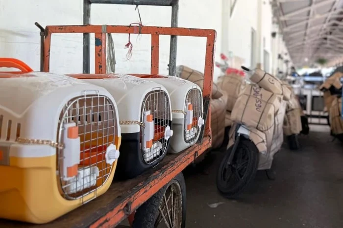 KAI Logistik Catat 13.435 Pengiriman Hewan Selama Ramadan hingga Idulfitri