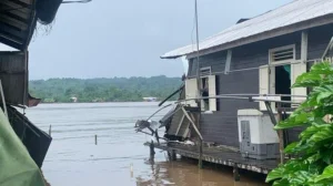 Kapal Tongkang Tabrak Rumah Apung di Sungai Mahakam, Insiden Viral Ini Memicu Pengawasan Arus di Jalur Transportasi Kalimantan