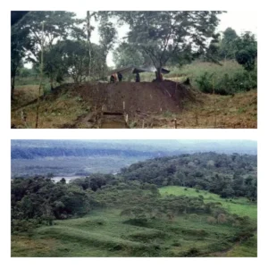 Misteri Candi Emas Terungkap di Hutan Bandarban: Jejak Sejarah yang Menggugah