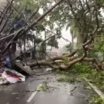Tasikmalaya Bergolak: Badai Angin Runtuhkan Pohon, Jalanan Macet Parah, dan Anggaran Pegawai Dipertaruhkan