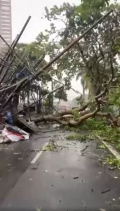Tasikmalaya Bergolak: Badai Angin Runtuhkan Pohon, Jalanan Macet Parah, dan Anggaran Pegawai Dipertaruhkan