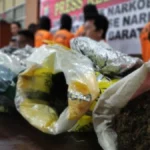 22 Biksu Sri Lanka Tertangkap Bawa 110 Kg Ganja Kush: Skandal Besar di Bandara Internasional!