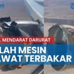 Airbus A330 Terpaksa Mendarat Darurat Setelah Kebakaran Mesin: Insiden Memicu Evakuasi Massa dan Tantangan Rekayasa