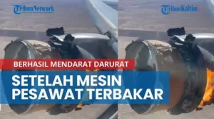 Airbus A330 Terpaksa Mendarat Darurat Setelah Kebakaran Mesin: Insiden Memicu Evakuasi Massa dan Tantangan Rekayasa