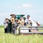 Amran Tahan HPP Gabah di Rp6.500/kg: Janji Tiada Hari Tanpa Beras di Era SPHP