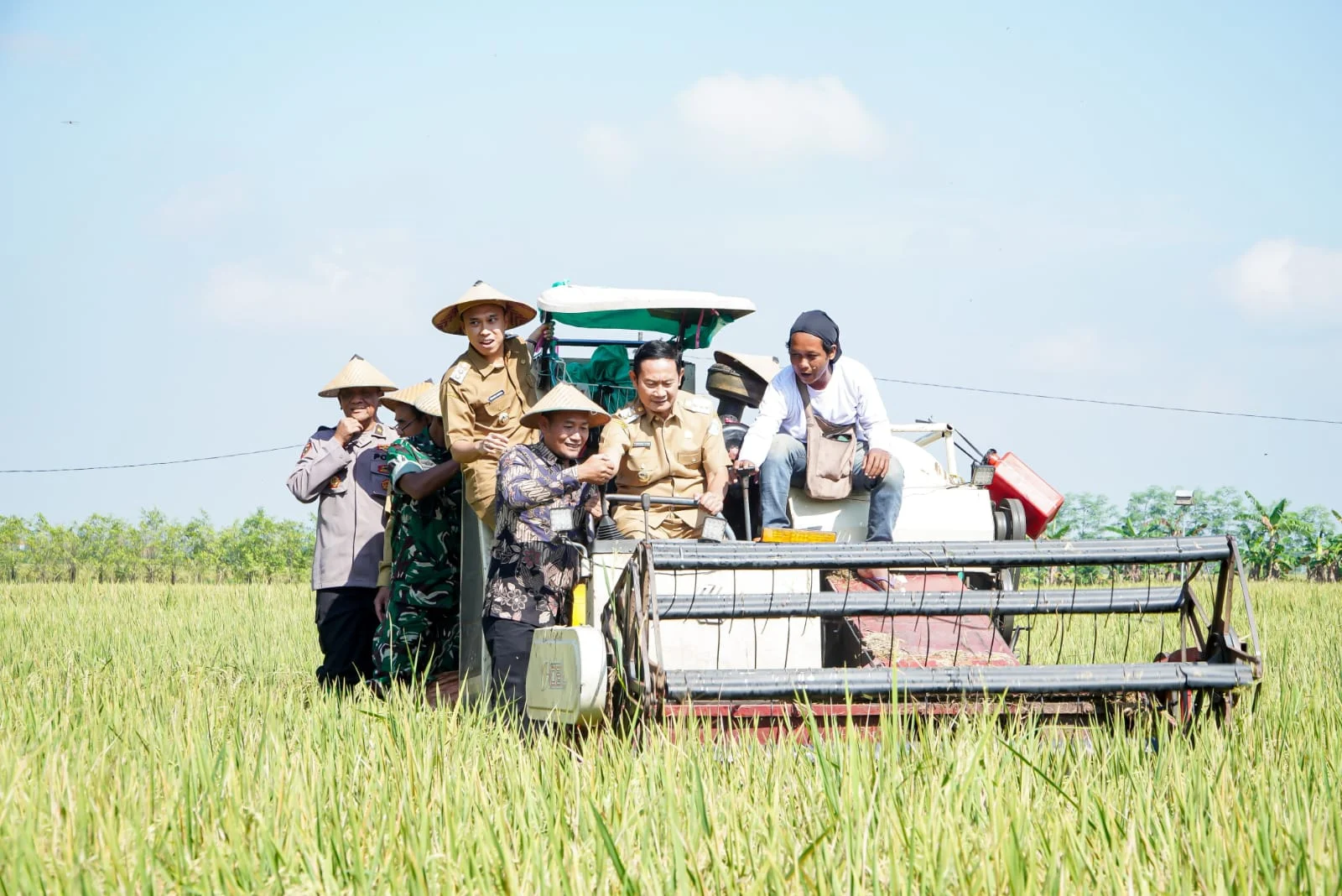 Amran Tahan HPP Gabah di Rp6.500/kg: Janji Tiada Hari Tanpa Beras di Era SPHP
