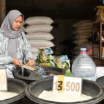 Bentrok di Walenrang Memicu Penurunan Drastis Harga Gabah: Camat: Dua Hari Tanpa Penjualan