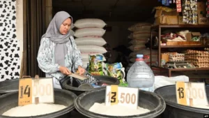 Bentrok di Walenrang Memicu Penurunan Drastis Harga Gabah: Camat: Dua Hari Tanpa Penjualan