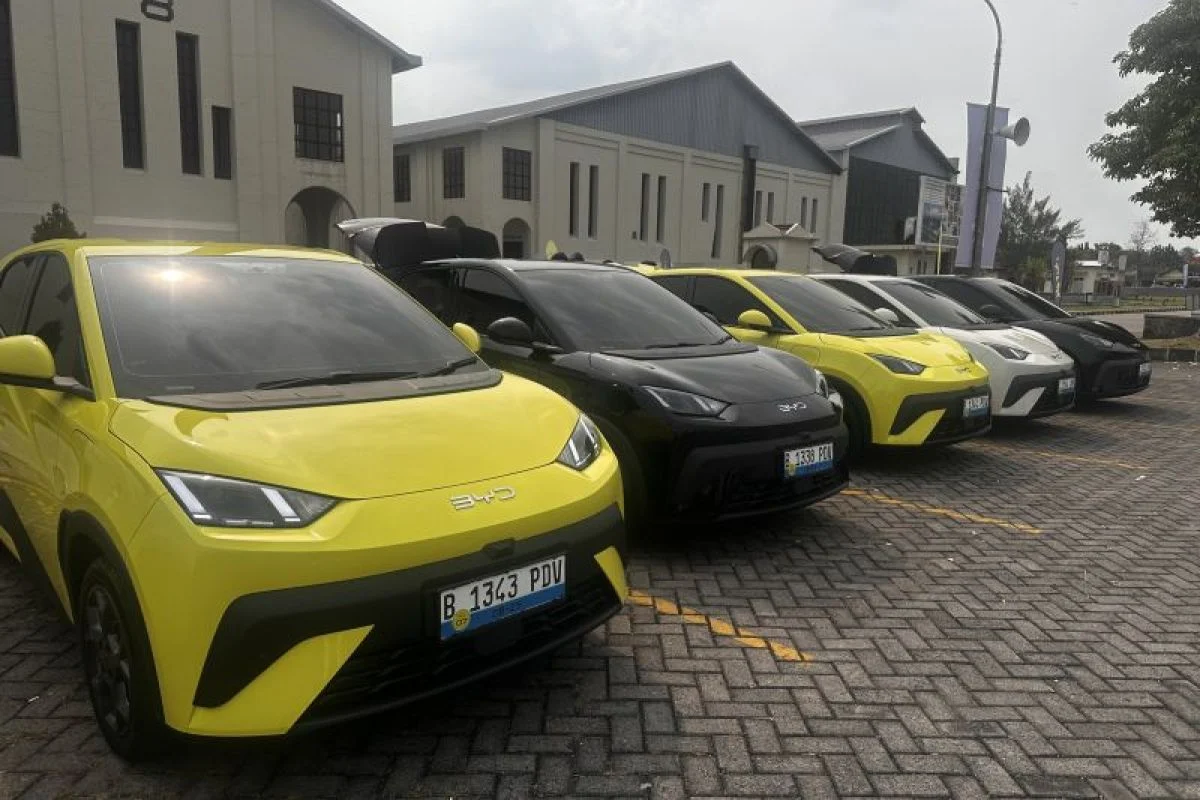 BYD Gigit Kalah di MA, Siapkan Merek Danza untuk Pasar Indonesia