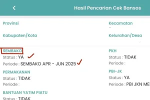 Cara Cek Bansos Kemensos Pakai NIK: PKH & BPNT Cair April 2026, Jadwal & Nominal Terbaru!