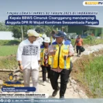 Celios Peringatkan Risiko Besar Inpres Swasembada Pangan: Inflasi Melonjak, UMKM Terancam