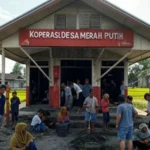 Dana Desa Berkurang 58%: Koperasi Merah Putih Ambil Alih, Desa Bantul Pakai Skema Pembangunan Baru