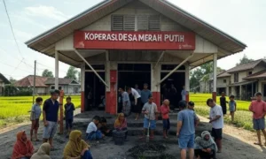 Dana Desa Berkurang 58%: Koperasi Merah Putih Ambil Alih, Desa Bantul Pakai Skema Pembangunan Baru
