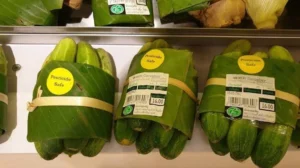 Daun Pisang Jadi Pengganti Plastik: Solusi Hijau dengan Syarat Ketat