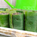 Daun Pisang Jadi Pengganti Wadah Plastik: Solusi Hijau yang Memerlukan Tiga Syarat Penting