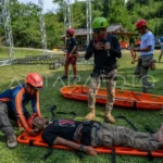 Doggie Drama: Dari Penyelamatan di Gurun Hingga Kebijakan Keluarga yang Mengubah Tradisi—Kisah Nyata yang Menggugah Hati