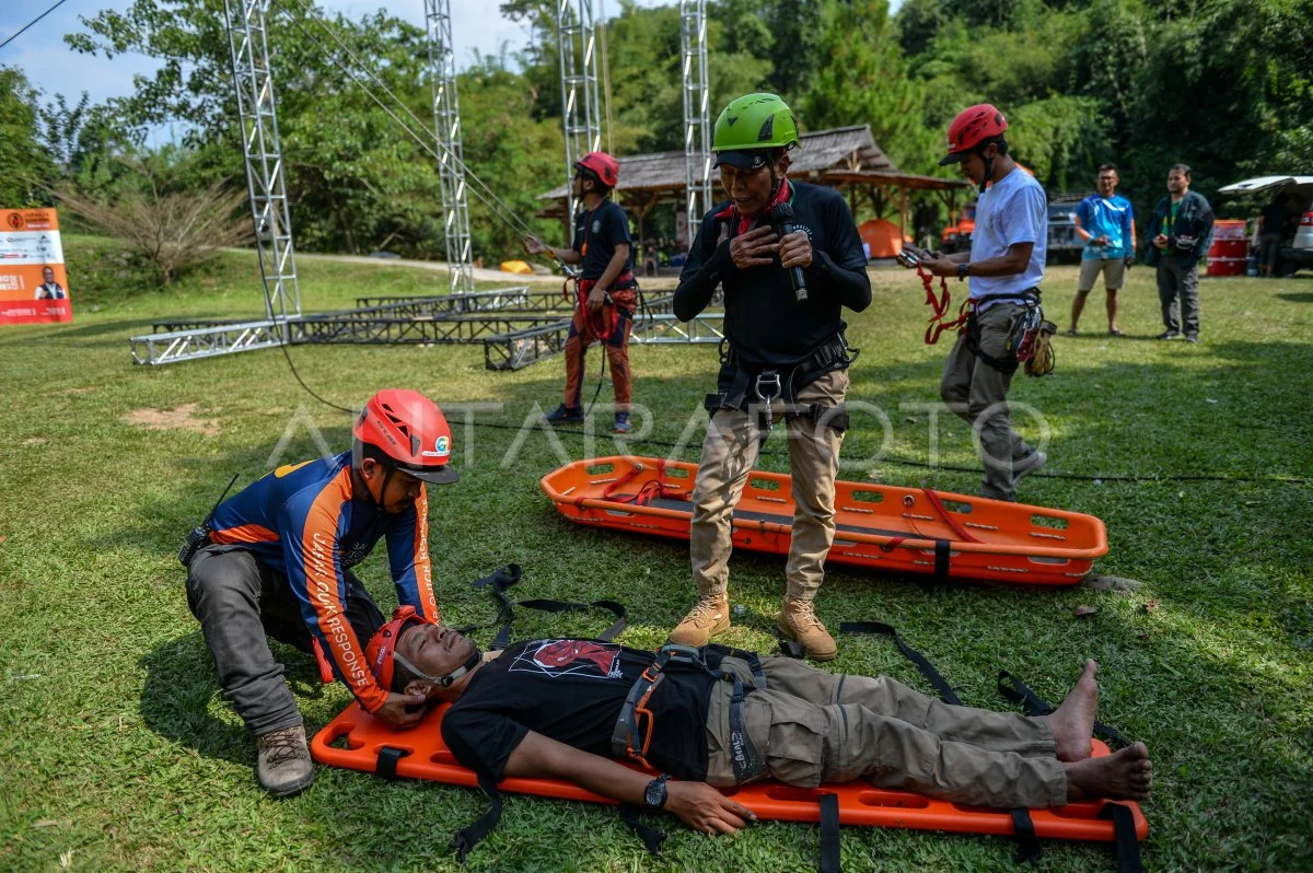 Doggie Drama: Dari Penyelamatan di Gurun Hingga Kebijakan Keluarga yang Mengubah Tradisi—Kisah Nyata yang Menggugah Hati