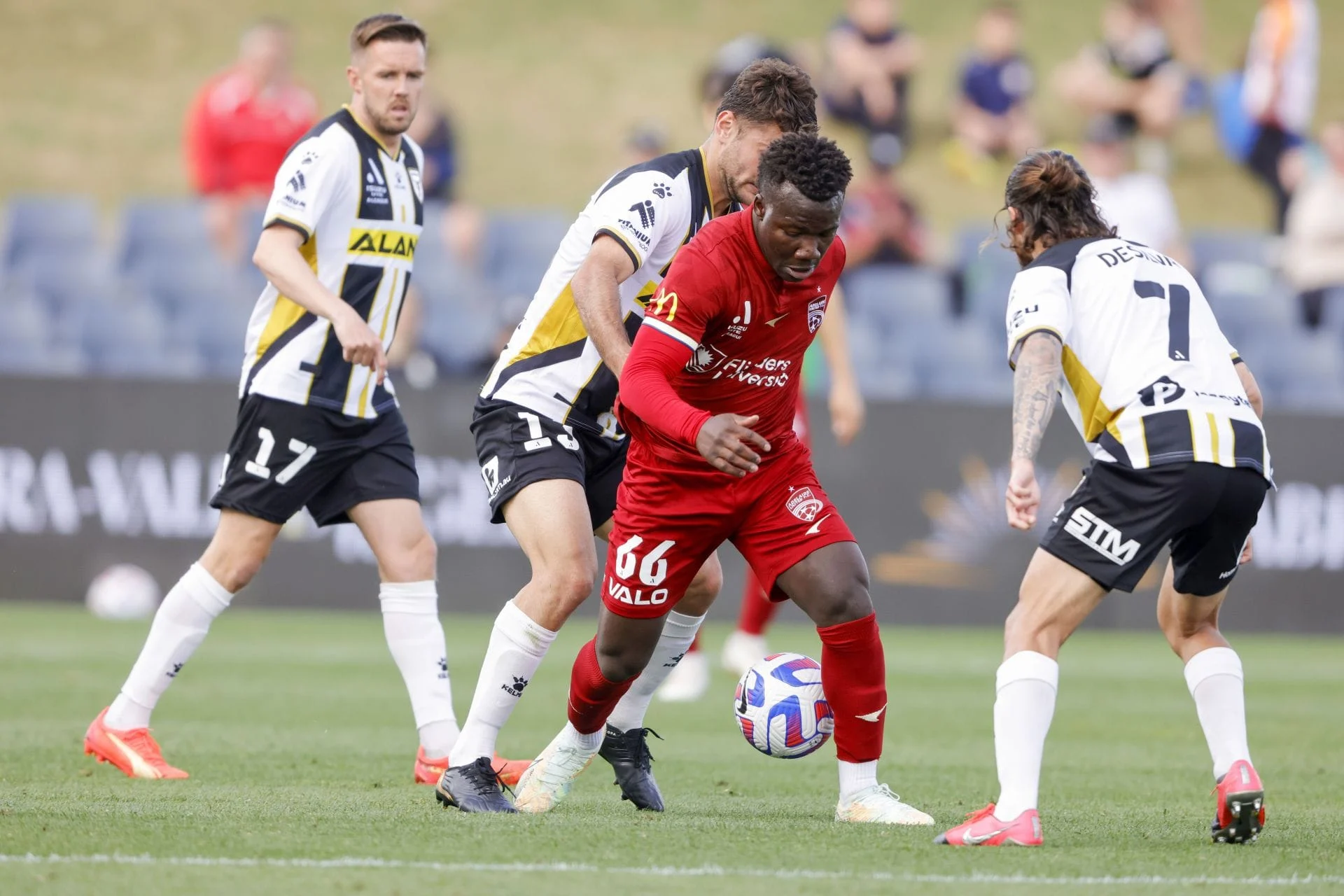 Drama Menegangkan di A-League: Anselmo Mengguncang Adelaide United dengan Dua Gol Penentu