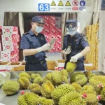 Durian Indonesia Siapkan Raihan Rp137 Triliun di Pasar China, Rahasia Besar Terungkap!