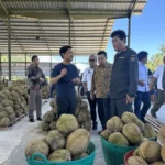 Durian Parigi Moutong Raih Rp42,5 Miliar, China Jadi Target Utama Ekspor Indonesia