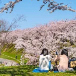 Eksklusif: 10 Potret Yunita Siregar Menikmati Liburan Musim Semi di Jepang yang Memukau