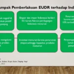 EUDR Mengguncang Industri Kayu Indonesia: Dari Upstream Siap, Downstream Terhambat