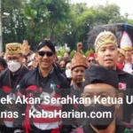 Gejolak Internal PKN: Anas Mundur, Gede Pasek Kembali Perkuat Identitas Nusantara