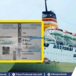 Gelombang Baru Pelni: Jadwal Padat, Rute Baru, dan Tiket Terjangkau Menyambut Musim Liburan 2026