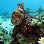 Gurita Raksasa 19 Meter Menguasai Laut Purba: Penemuan Menggebrak Paradigma Evolusi Laut