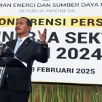 Indonesia Raih Peringkat Kedua Dunia dalam Ketahanan Energi, Strategi Prabowo Dipuji Pengamat