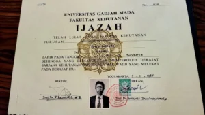 Jokowi Diminta Saksi Korupsi Satelit, Hadapi RJ Ijazah Palsu, dan Banding Penggugat Ijazah: Konflik Hukum yang Mengguncang Pemerintahan
