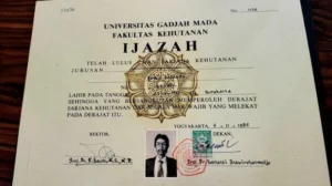 Jokowi Siap Buka Ijazah Dari SD Hingga Sarjana, Kasus Hukum Tetap Dilanjutkan di Pengadilan