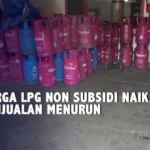 Kenaikan Harga LPG Non-Subsidi Memicu Beban Berat pada UMKM, Akumindo dan YLKI Angkat Suara