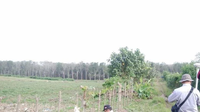 Lahan Eks Goodyear di Simalungun Dikejutkan: TNI Diduga Larang Poktan Makmur Jaya Bertani