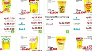 Mau Tahu Kenapa Harga Minyak Goreng Bisa Melonjak? Ini Dampak Program B50 yang Mengguncang Pasar!