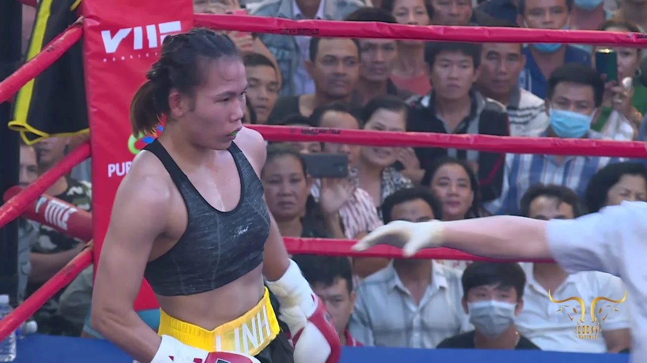 Mi dalam Sorotan: Dari Kemenangan Ring Tinju Bo Mi Re Shin hingga Tantangan Mumbai Indians di IPL 2026