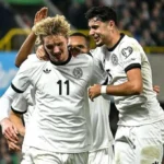 Nick Woltemade: Sorotan Tunggal yang Menyelamatkan Newcastle di Tengah Kekalahan Keras