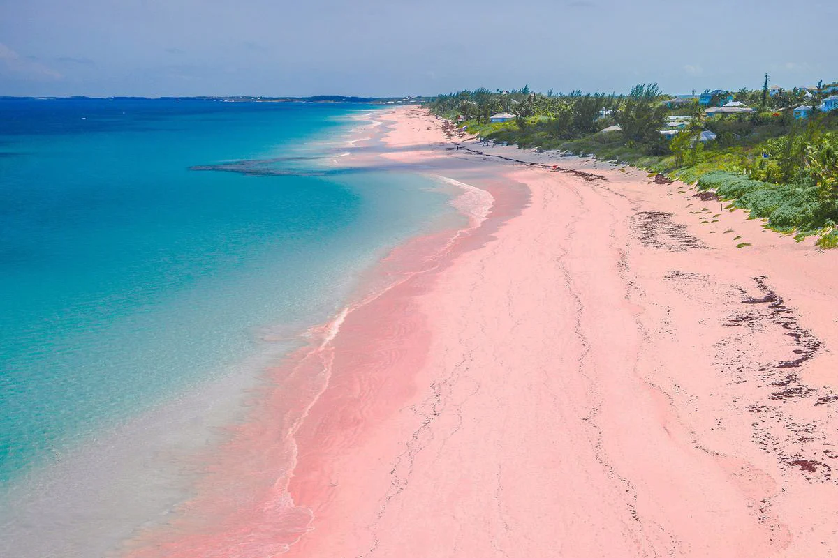 Pantai Pink Lombok Jadi Magnet Fotografer, Mirip Spot Sampul Album SZA 'SOS'