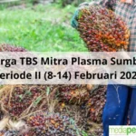 Riau Bergolak: Kebakaran Hutan, Kecelakaan Industri, Harga TBS Meroket, dan Operasi TNI yang Menggemparkan