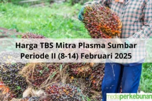 Riau Bergolak: Kebakaran Hutan, Kecelakaan Industri, Harga TBS Meroket, dan Operasi TNI yang Menggemparkan