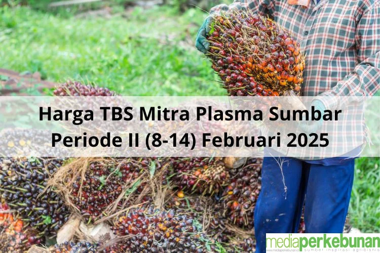 Riau Bergolak: Kebakaran Hutan, Kecelakaan Industri, Harga TBS Meroket, dan Operasi TNI yang Menggemparkan