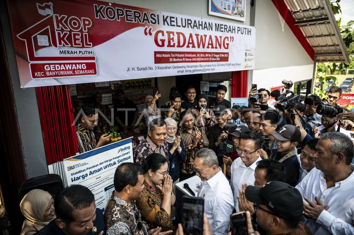 Ribuan Rupiah Terlewat: Koperasi Merah Putih Gedawang Semarang Gagal Raih Bantuan 3 Miliar Meski Omzet Hanya 100 Juta