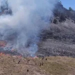 Ribuan Titik Panas Terdeteksi di Konsesi Sumatera: Ancaman Karhutla Mengguncang Industri