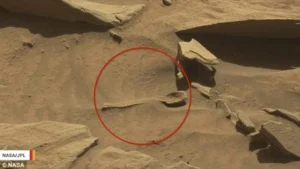 Rover NASA Ungkap Formasi ‘Sisik Naga’ Misterius di Mars, Penemuan yang Mengguncang Dunia Ilmu Planet