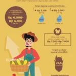 Rp 678 Miliar Direservasi Pemerintah untuk Stabilitas Harga Jagung Pakan Ternak: Langkah Nyata Menguatkan Peternak Nasional