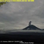 Semeru Bergolak: 42 Letusan Mengguncang Jawa Timur, Kolom Abu Setinggi 1,1 Km!