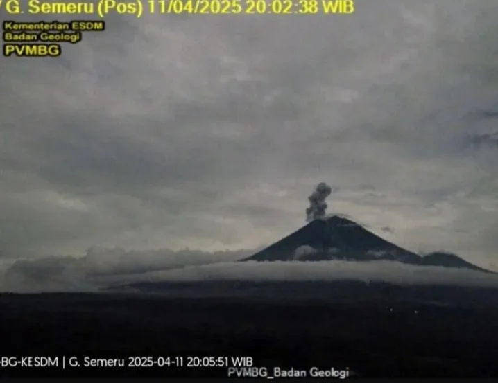 Semeru Bergolak: 42 Letusan Mengguncang Jawa Timur, Kolom Abu Setinggi 1,1 Km!