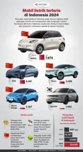 Skema Pajak Baru Ancaman atau Dorongan? Hyundai Selidiki Dampak pada Penjualan EV di Indonesia