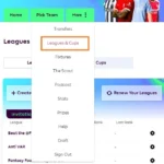 Strategi dan Tantangan A-League: Dari NFL ke Ligue 1, Apa Pelajaran yang Bisa Diambil?